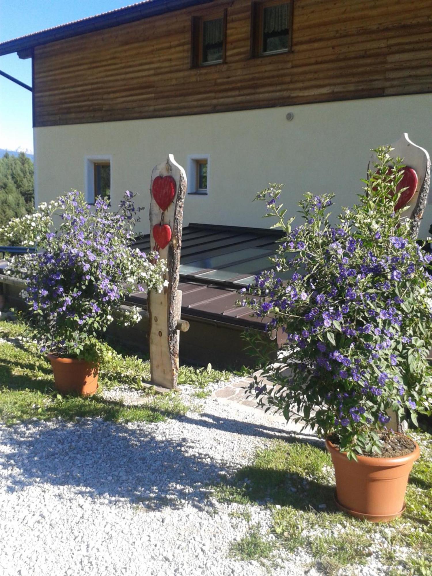 Pension Marchnerhof Terento Zewnętrze zdjęcie